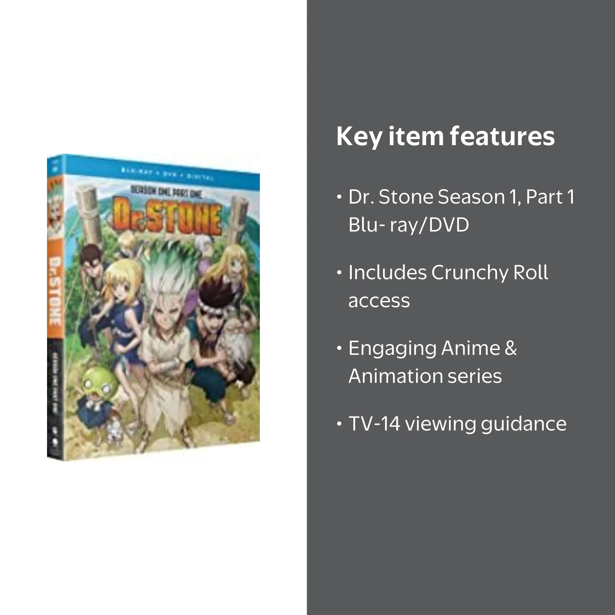 Dr. Stone: The Complete First Season, V1 (Blu-ray + DVD + Fun