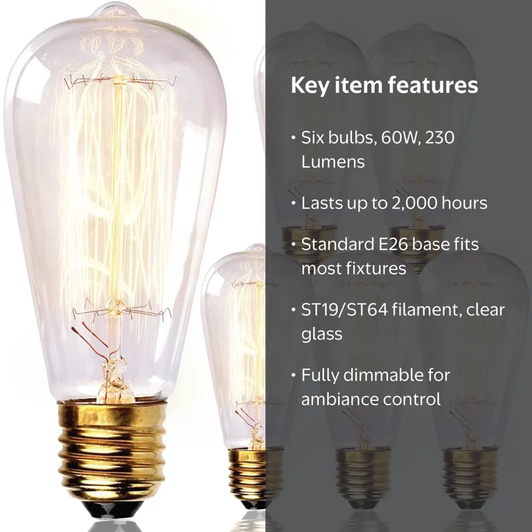 Newhouse Lighting, Vintage Edison Light Bulb, 60W, 6-Pack