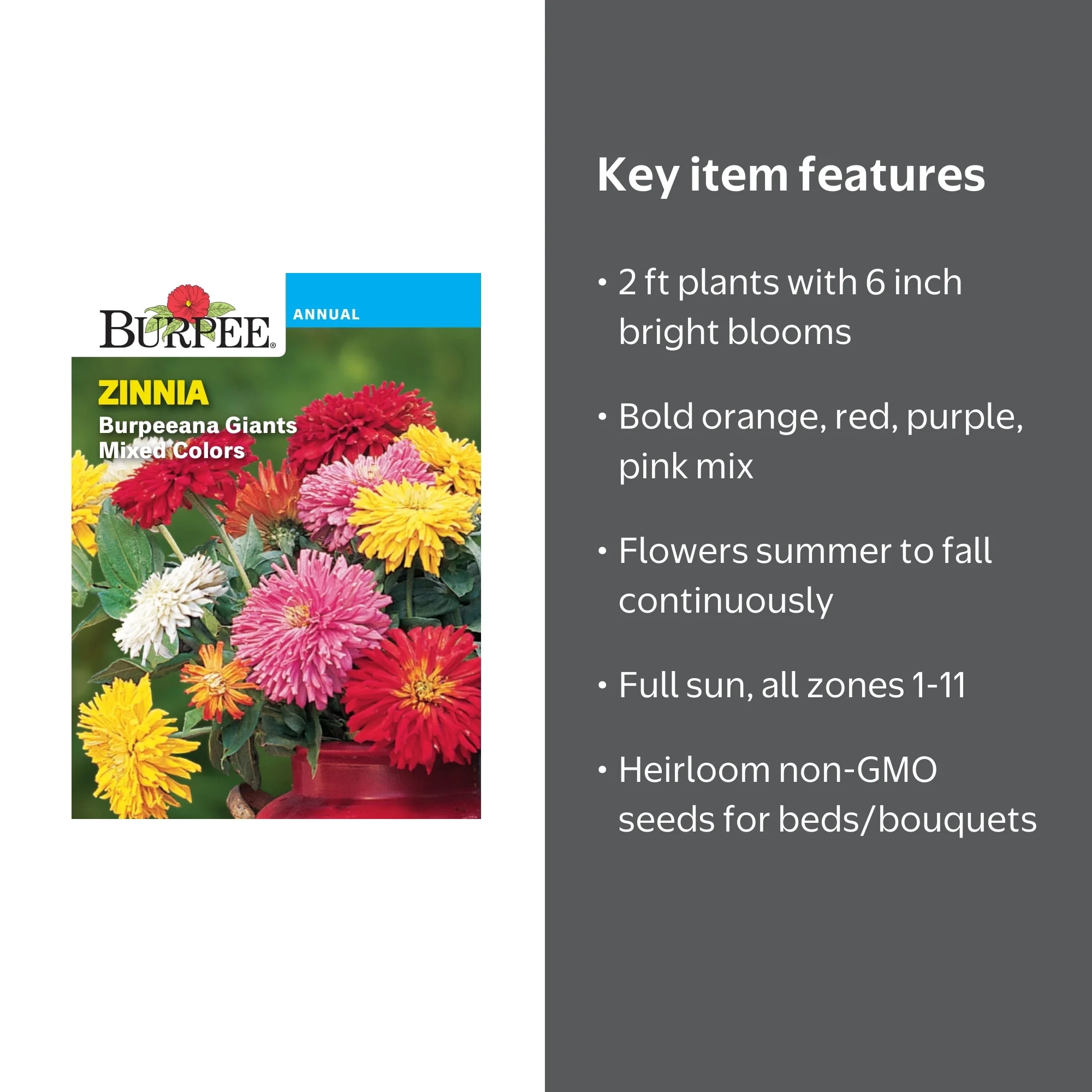 Burpee Burpeeana Giants Mixed Colors Zinnia Flower Seed, 1-Pack