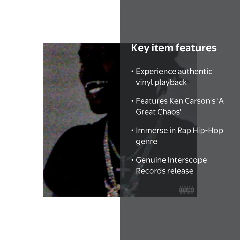 Interscope Records, Vinyl LP, A Great Chaos, Music & Performance