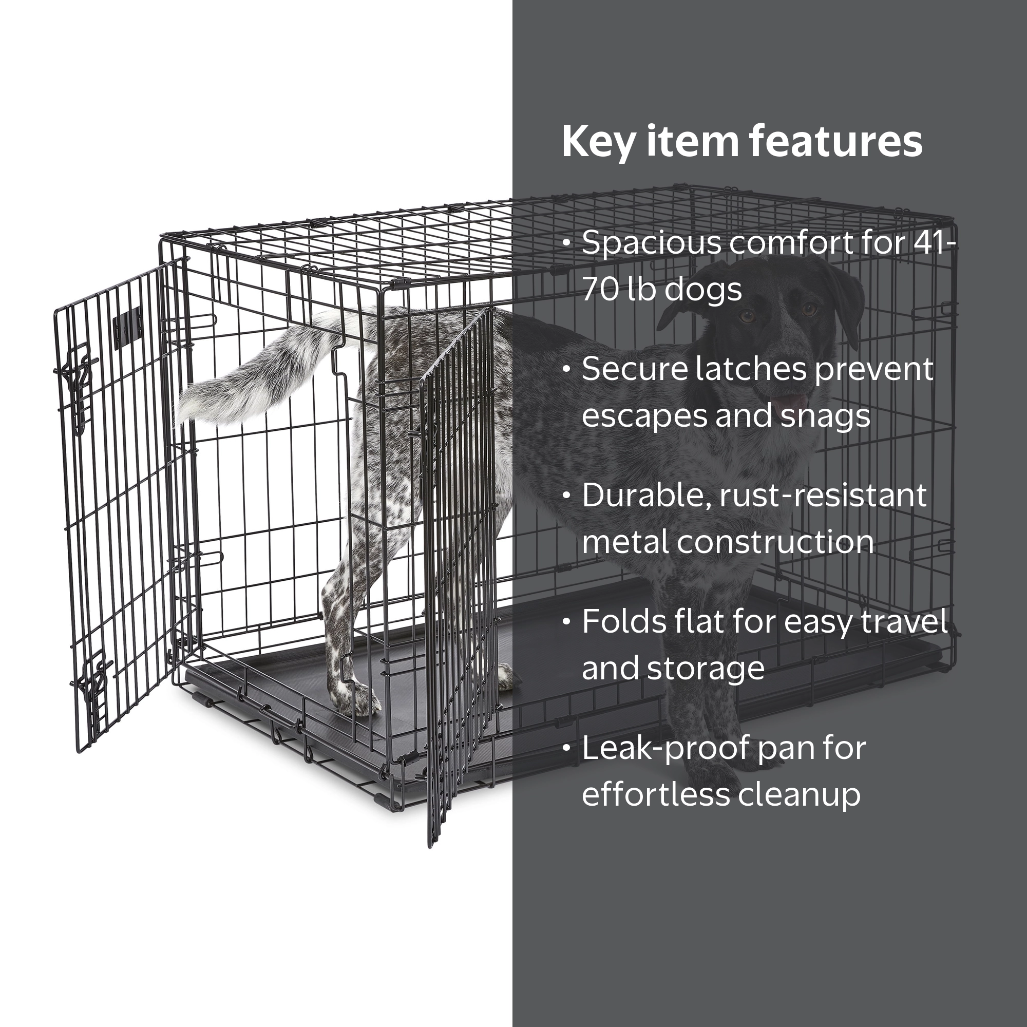 MidWest Homes for Pets 36-Inch Two-Door iCrate Folding Dog Crate