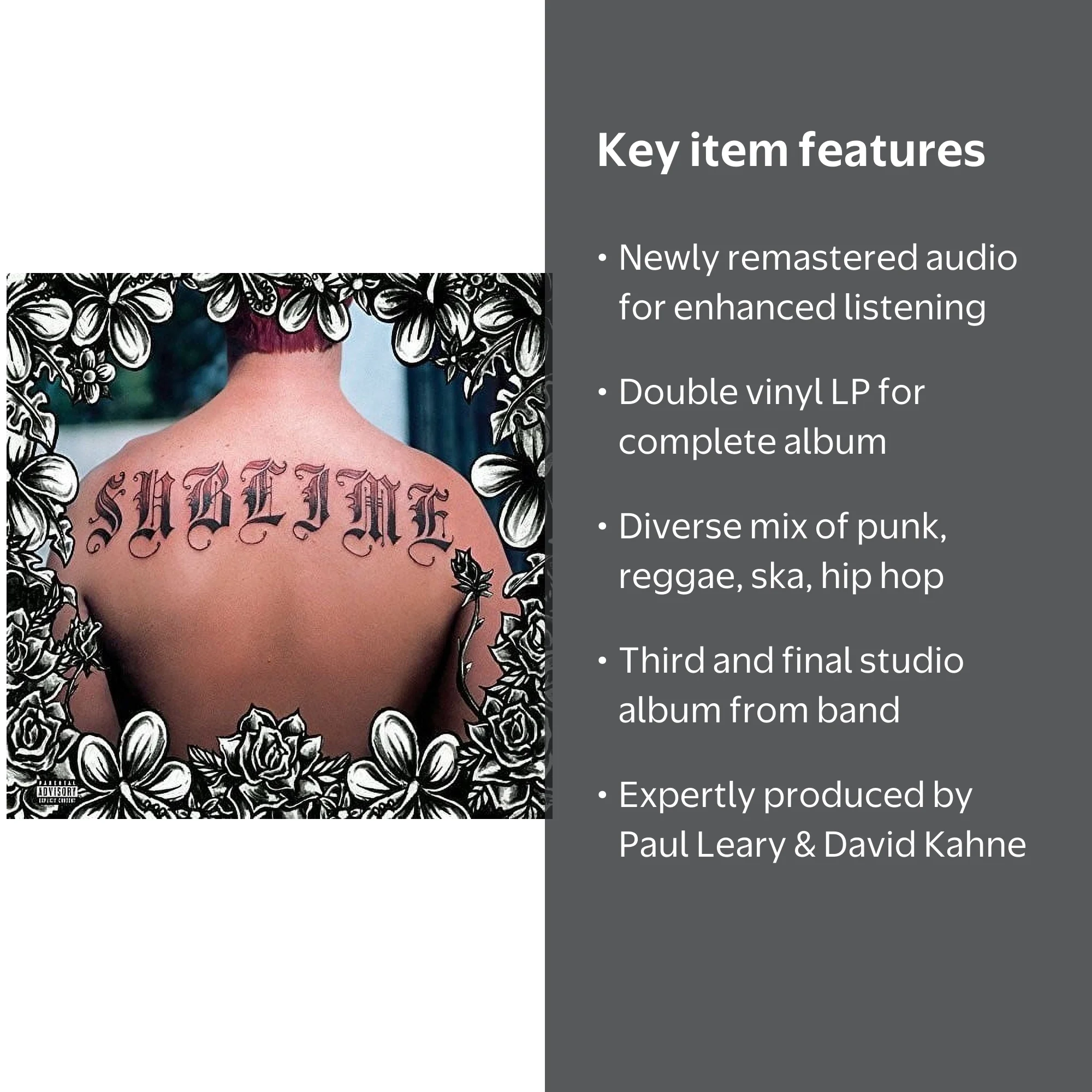 Sublime - Double Vinyl LP Album, Rock Music & Performance