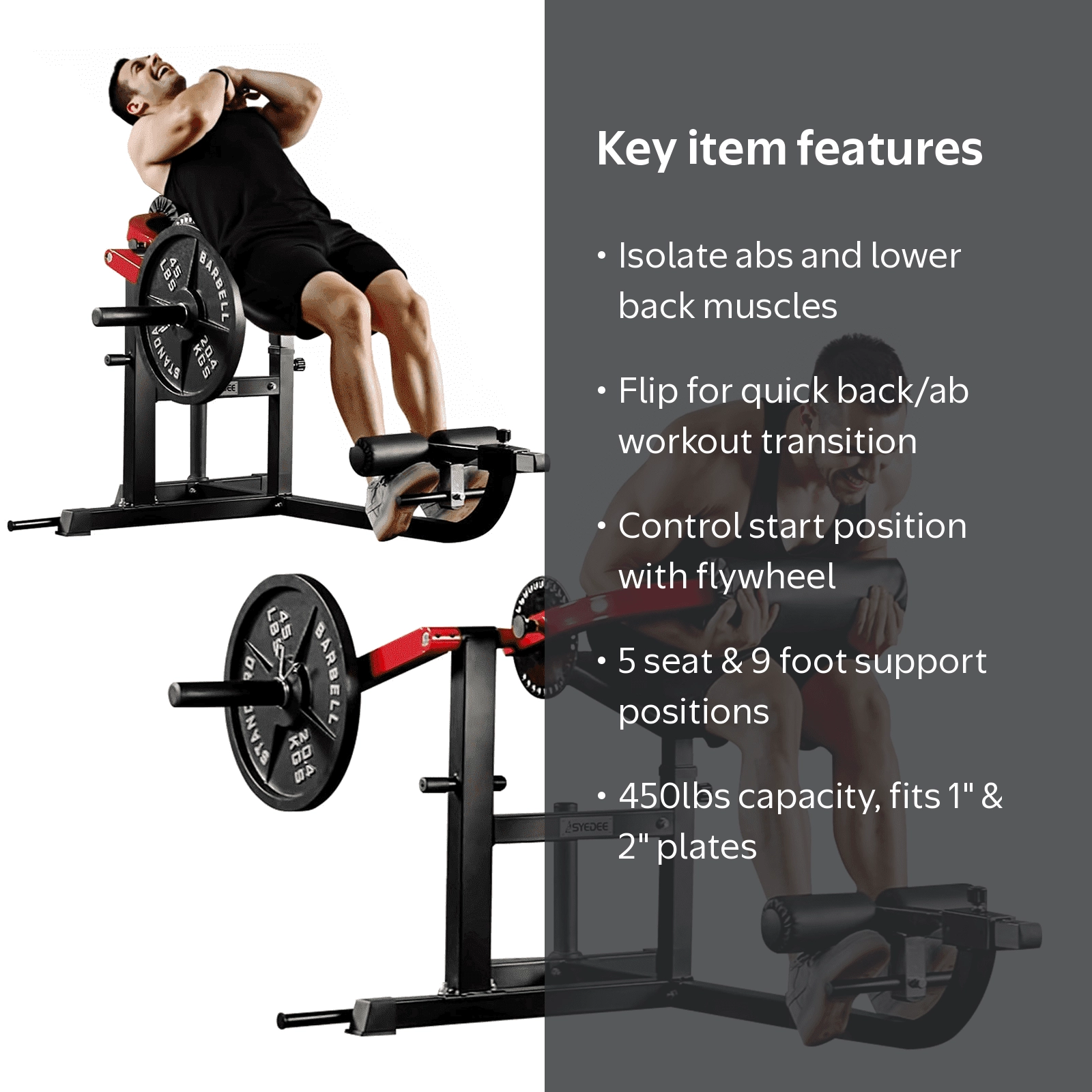 syedee Seated AB Curl, Back Extension Machine, Plate Loaded