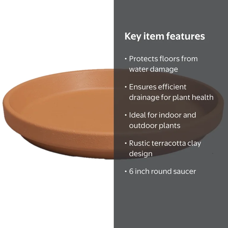 Artevasi 6 inch Round Terracotta Clay Plant Saucer - Walmart.com