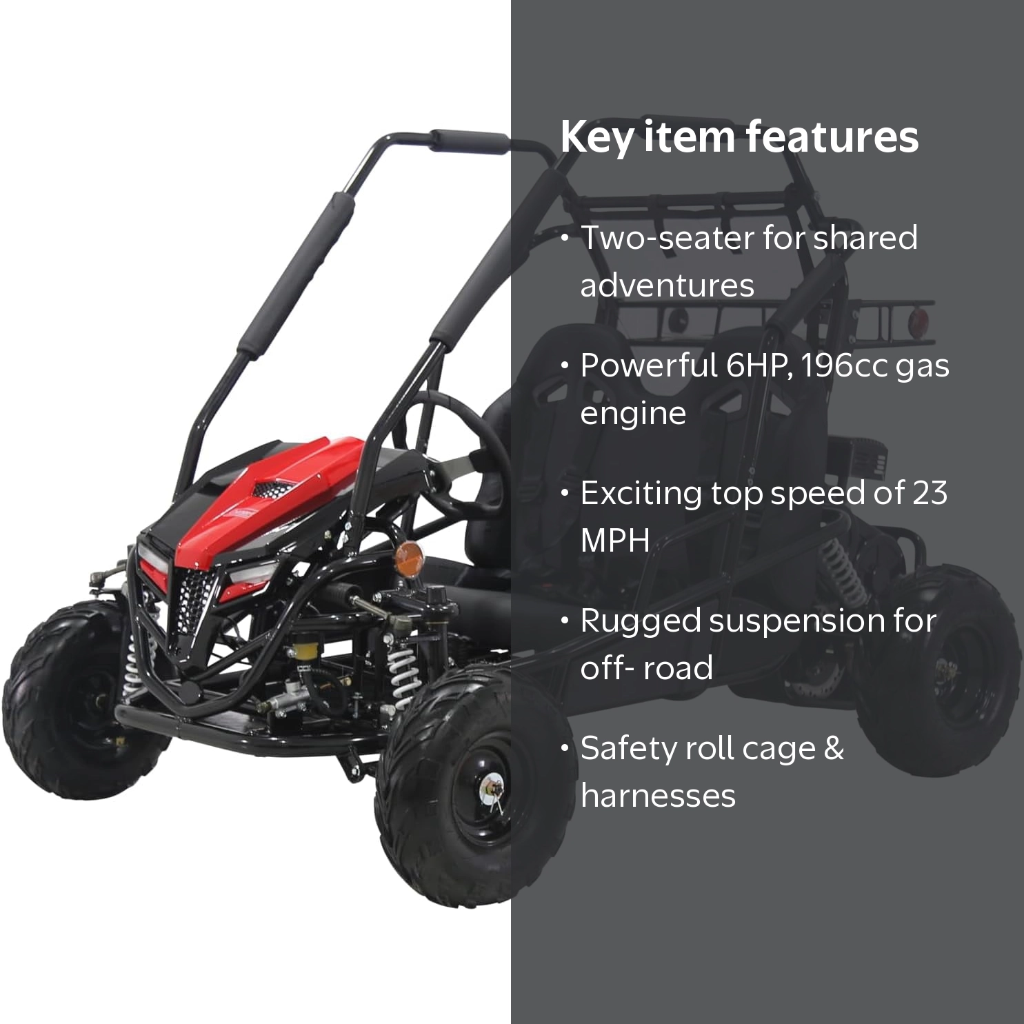 Coleman Powersports, Gas Powered Go-Kart, 196cc, Two-Seater