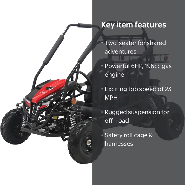 Coleman Powersports, Gas Powered Go-Kart, 196cc, Two-Seater