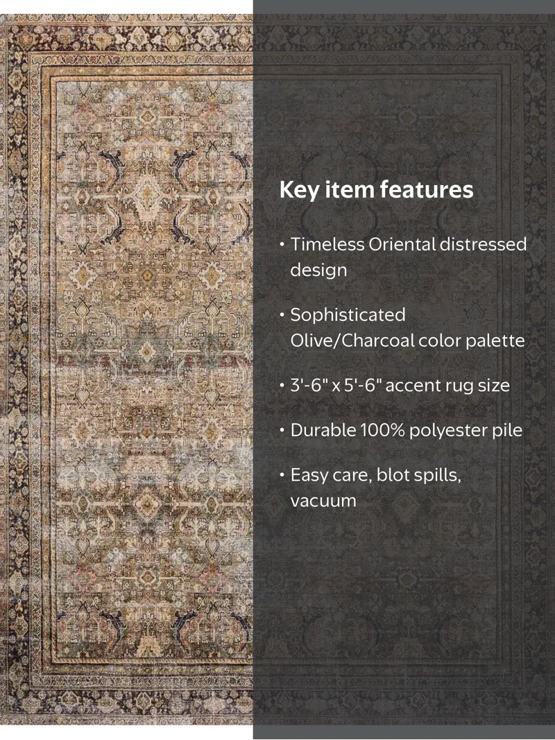 【北欧希少】ライラ・アンデション Laila Andersson 総刺繍アート Loloi Layla Printed Oriental Distressed Rug 3'-6