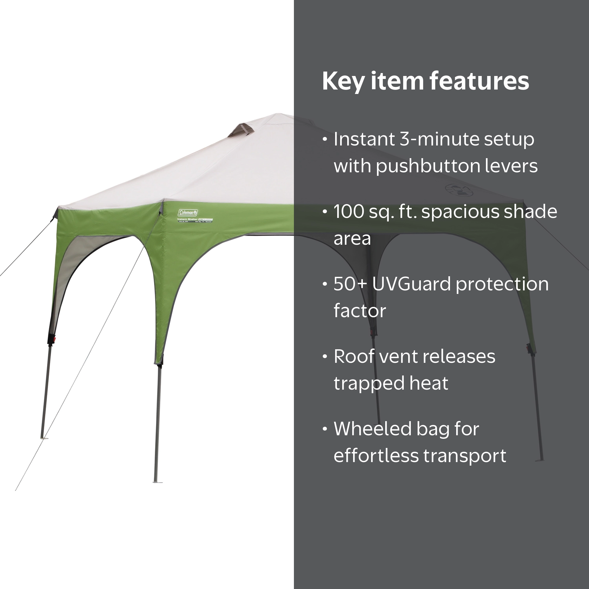 Coleman 10'x10' Instant Straight Leg Canopy, 100 sq. ft - Walmart.com
