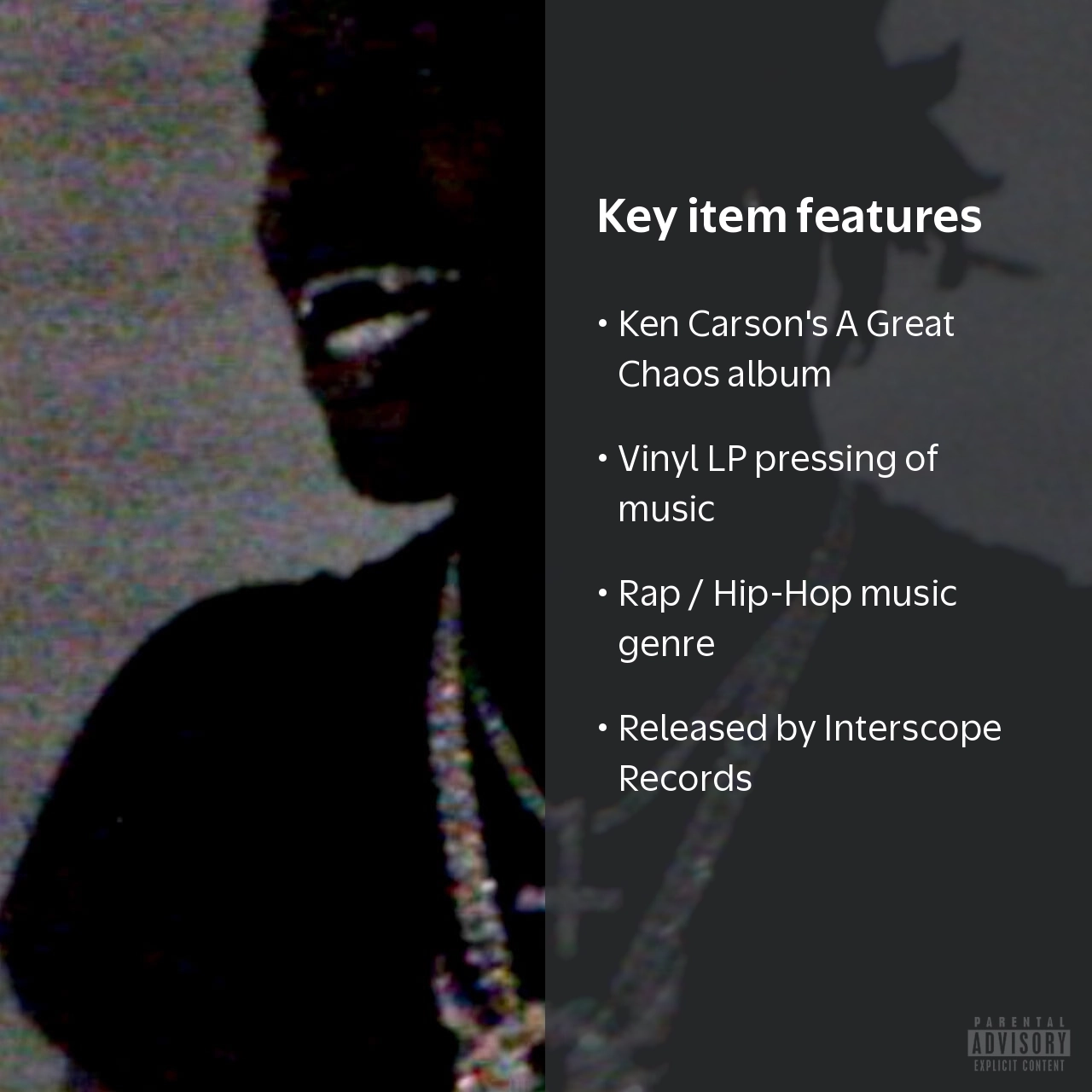 Interscope Records, Vinyl LP, A Great Chaos, Music & Performance