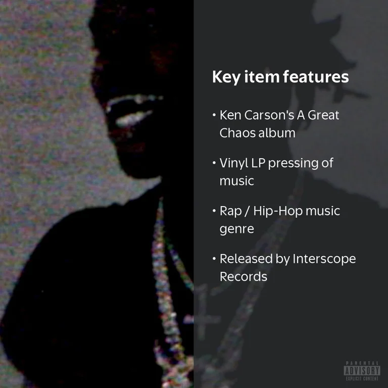 Interscope Records, Vinyl LP, A Great Chaos, Music & Performance