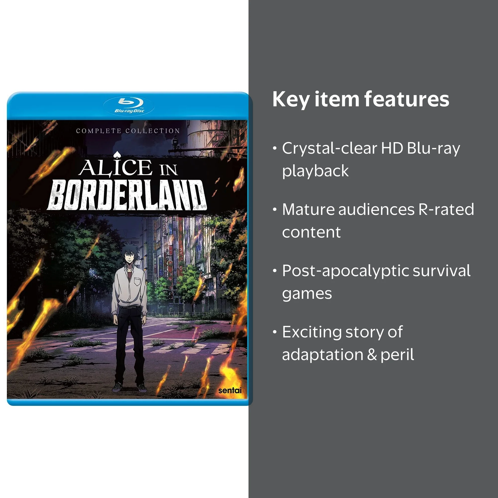 Sentai - Alice In Borderland [BLU-RAY] - Walmart.com