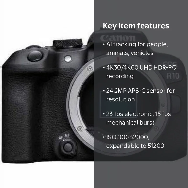 Canon, Mirrorless Camera, 24.2 Megapixels, 4K Video - Walmart.com