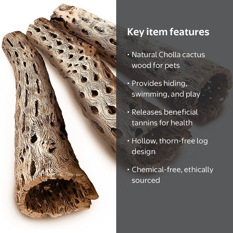 SunGrow Hermit Crab & Leopard Gecko Cholla Wood, for Aquarium Tank