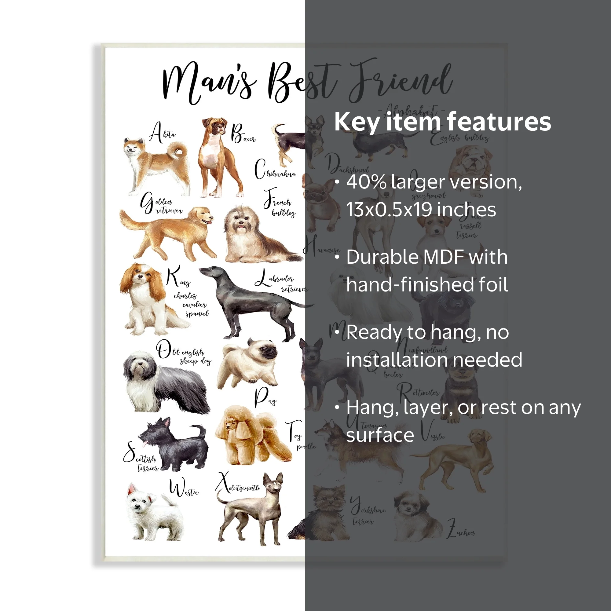 Stupell Industries Mans Best Friend Dog Wall Art - 13 x 19