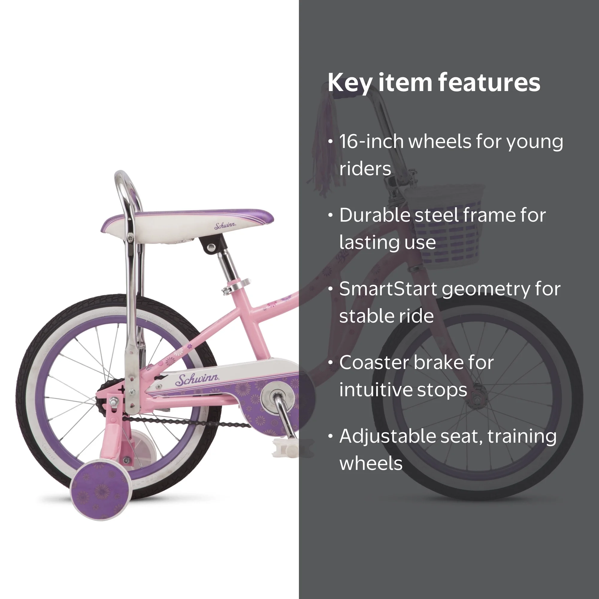 Schwinn 16