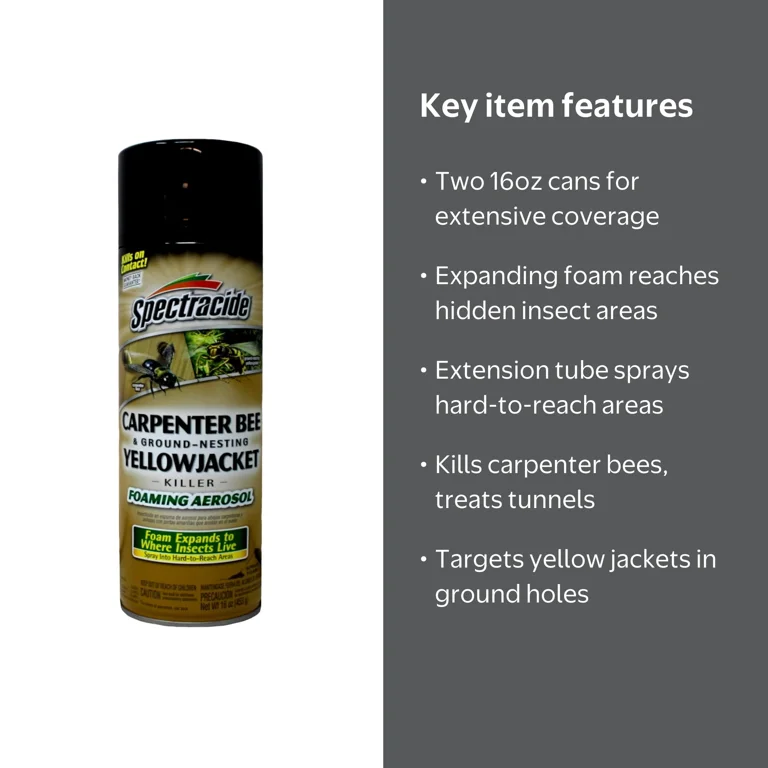 Spectracide 2 Pack Carpenter Bee and Yellowjacket Killer Spray