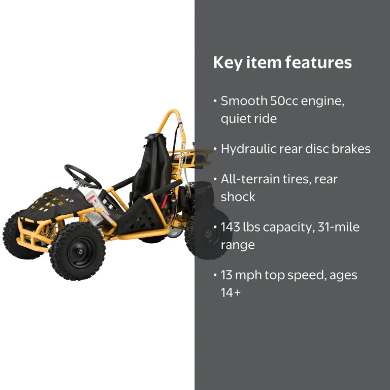 SYX MOTO Teens Gasoline Go Kart GK-49A 50cc 4 Stroke, School Bus