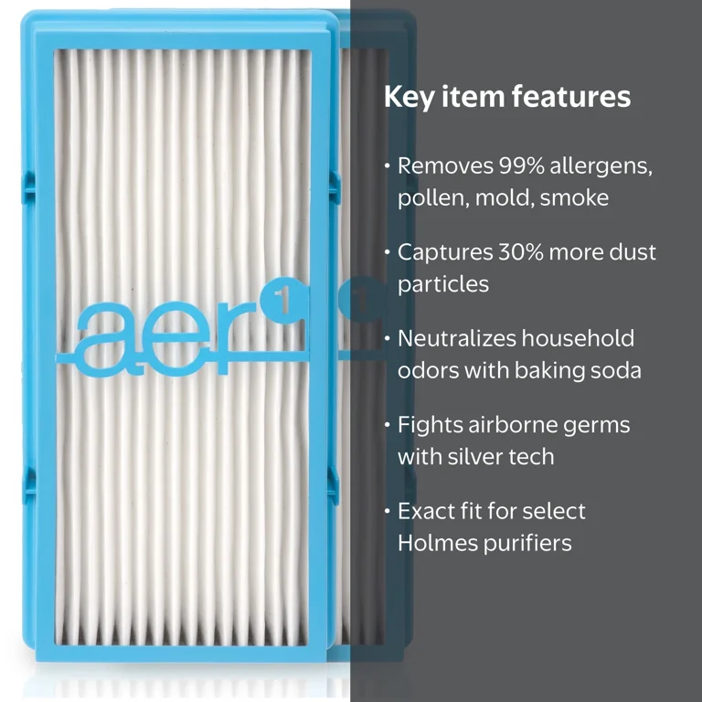 Holmes aer1 HEPA-Type Total Air Filter, Dust Elimination, 2 Pack