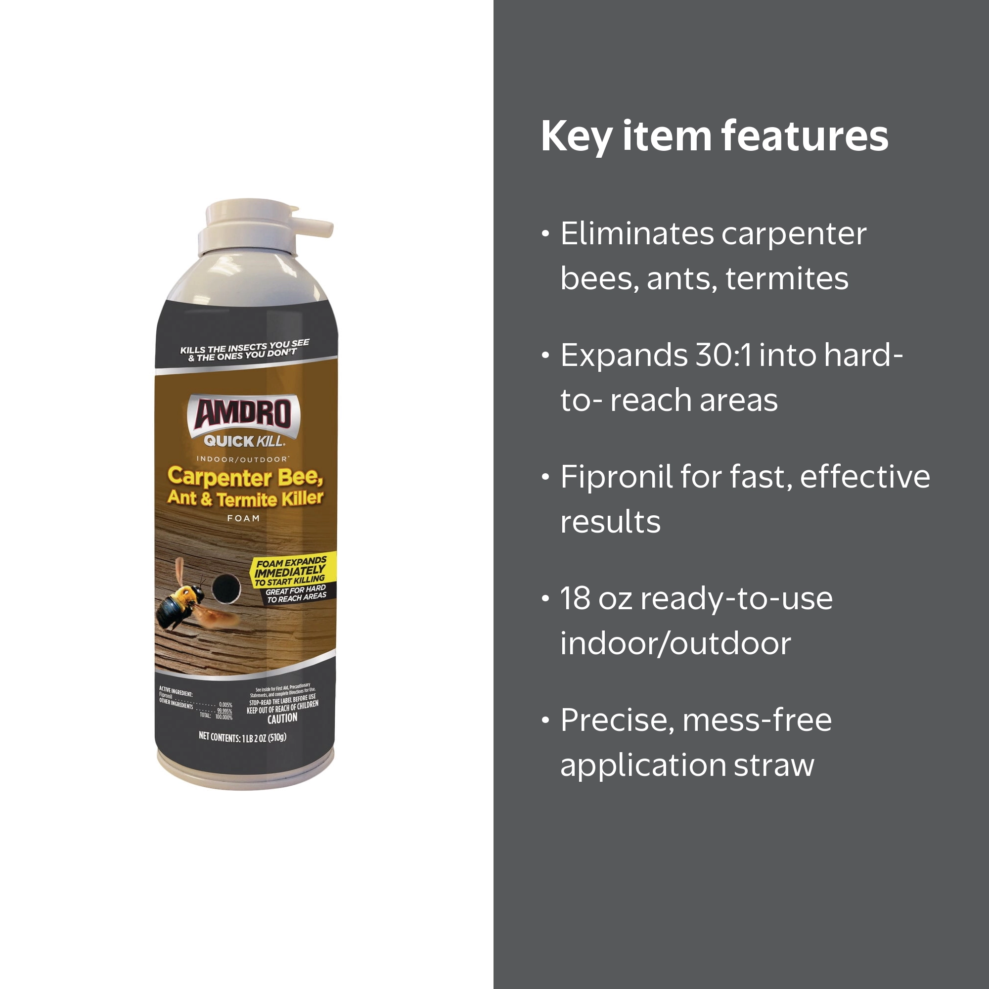 Amdro Quick Kill Carpenter Bee Ant and Termite Killer Foam
