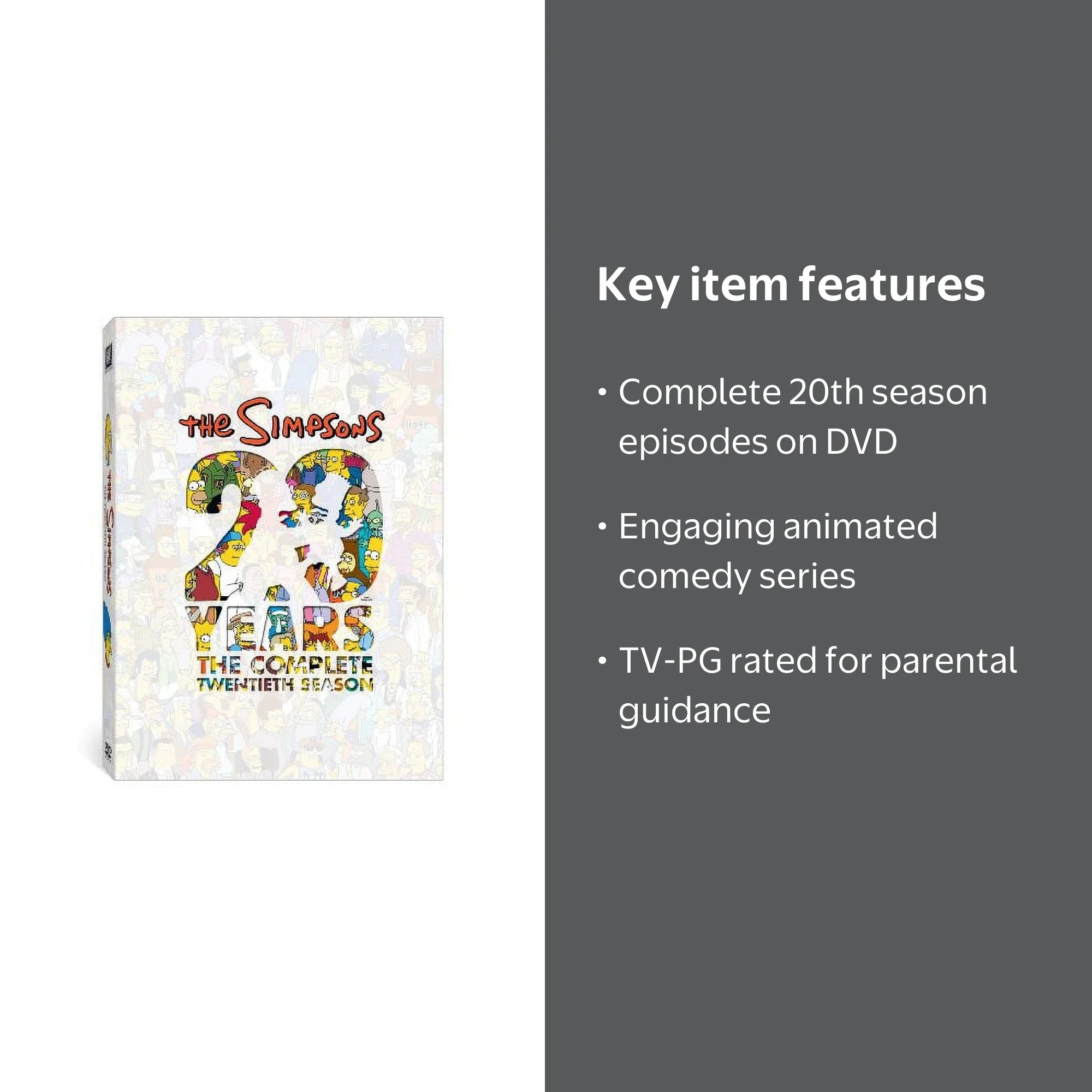 The Simpsons: Complete 20th Season Box Set - TV Series (DVD