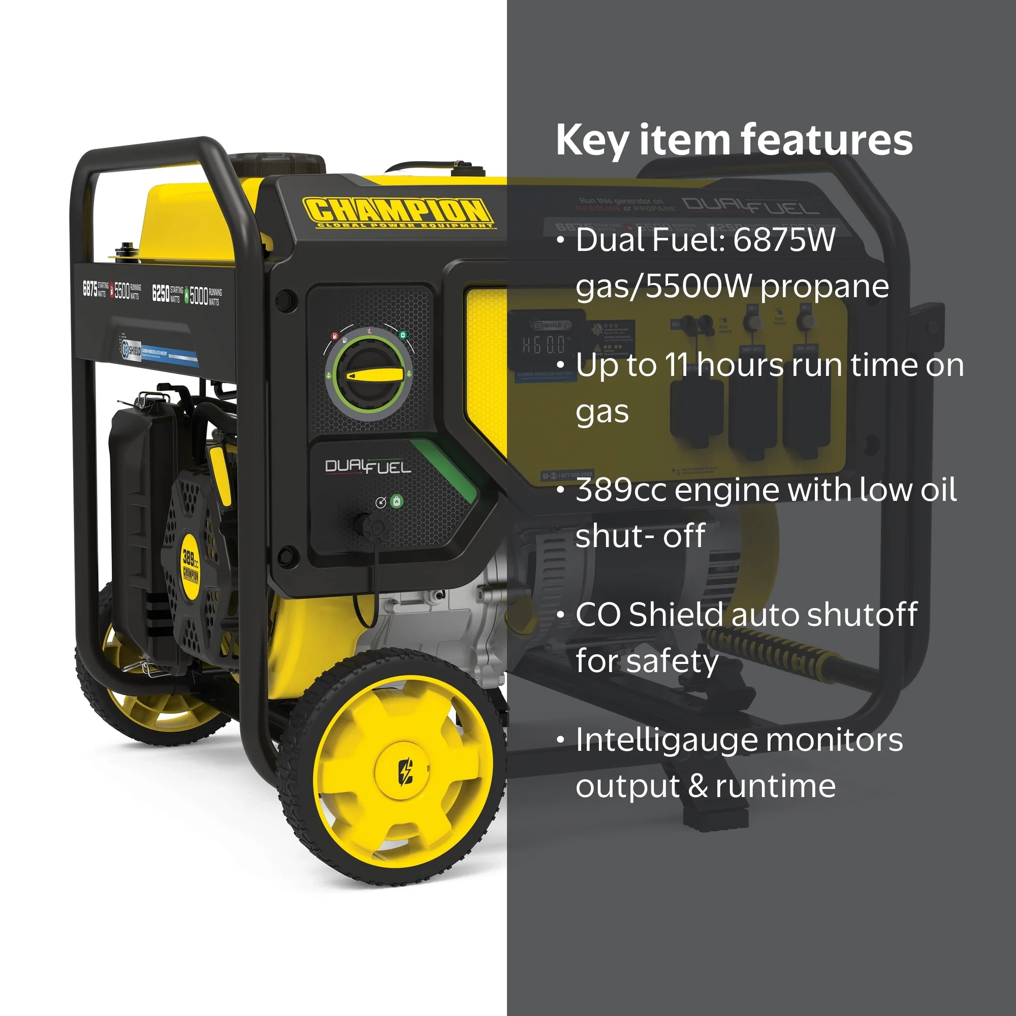 Champion Power Equipment 6875/5500-Watt Dual Fuel Portable