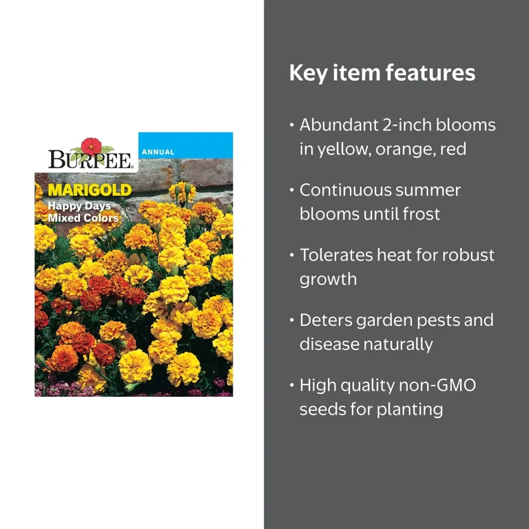 Burpee Happy Days Mixed Colors Marigold Flower Seed, Heat Tolerant, Blooms in Summer, 1-Pack