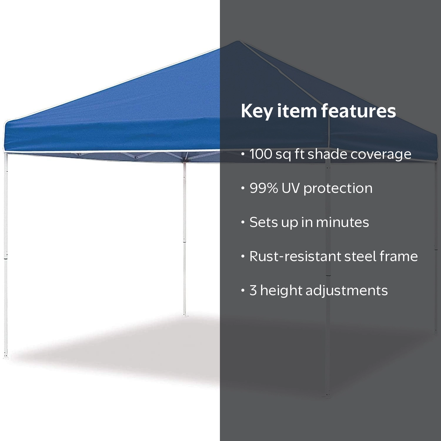 Z-Shade 10 x 10 Foot Everest Instant Canopy Outdoor Camping Patio