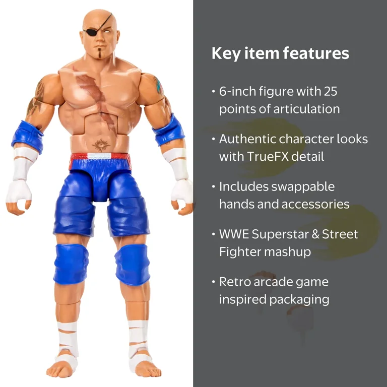 WWE X Street Fighter Batista Action Figure & Accessories, 6-inch