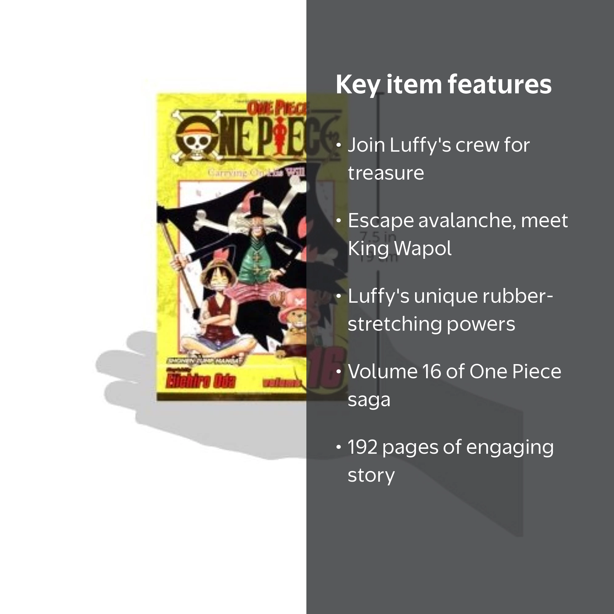 One Piece One Piece, Vol. 16: Carrying on His Will, Book 16