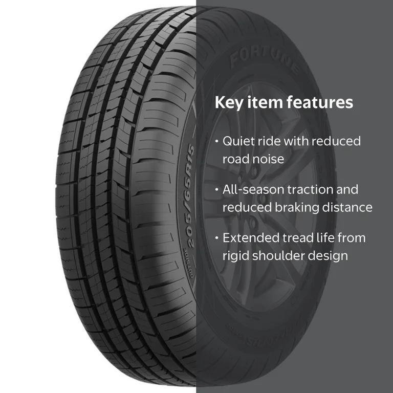 Fortune Perfectus FSR602 All Season 205/65R16 95H Passenger Tire