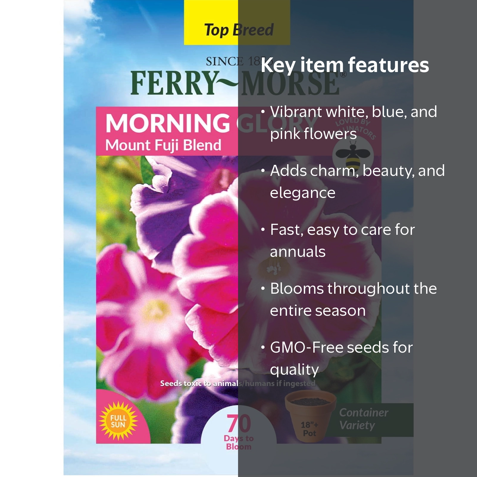 Ferry-Morse 850MG Morning Glory Mount Fuji Blend Annual Flower