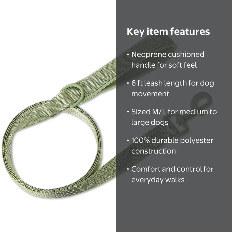 Vibrant Life Neoprene Cushioned Dog Leash for Medium Large Dogs