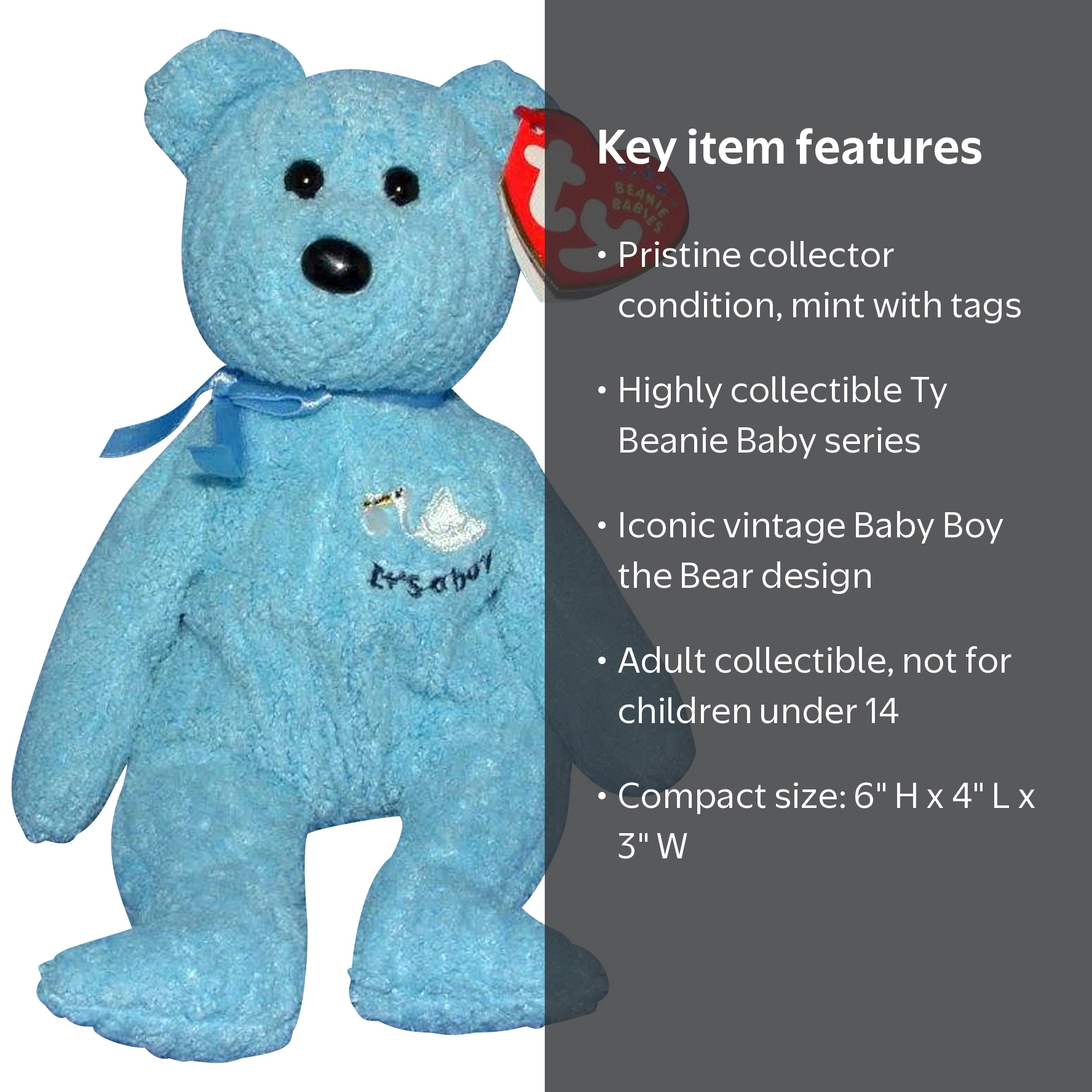 Ty Beanie Baby: Baby Boy the Bear | Stuffed Animal | MWMT