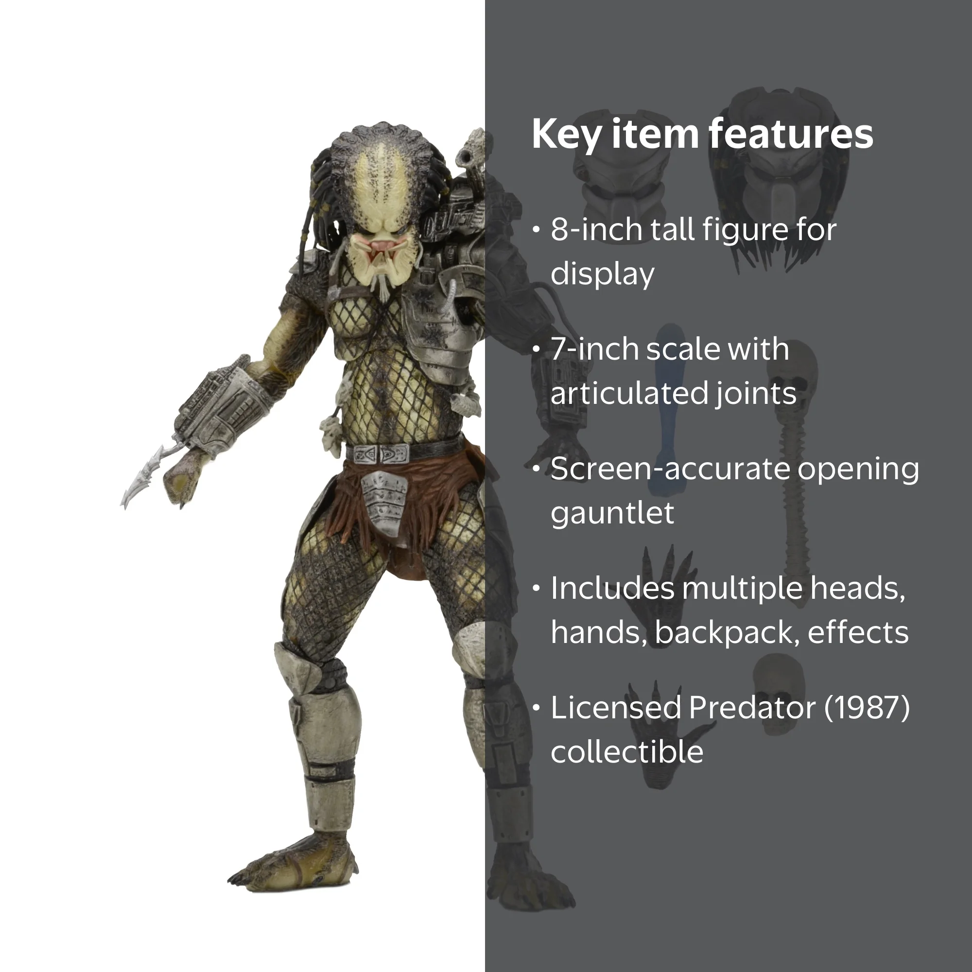 Predator Collection: Ultimate Jungle Hunter 7