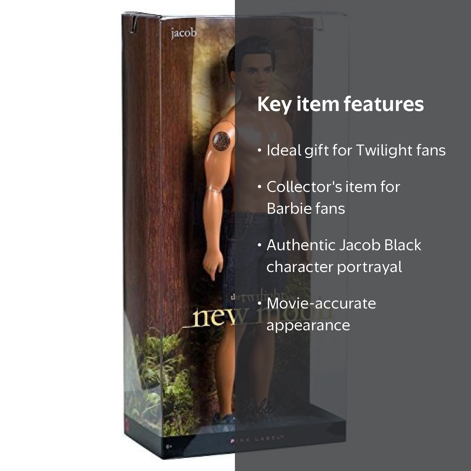 Barbie, Twilight Jacob Black Doll, Inspired by New Moon