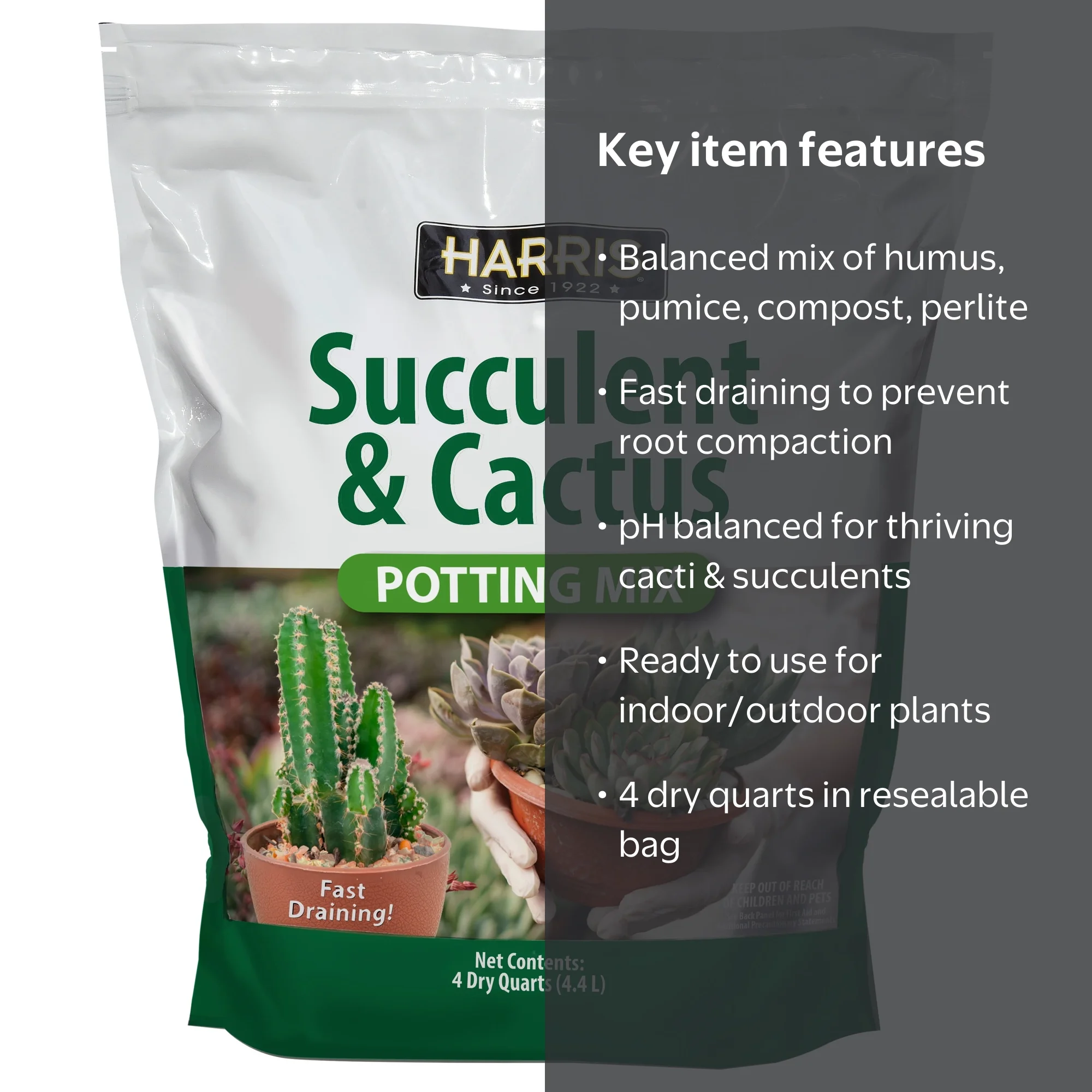 Harri's Succulent and Cactus Potting Soil, Fast Draining Mix, 4 Quart Bag,  Indoor Outdoor Use - Walmart.com