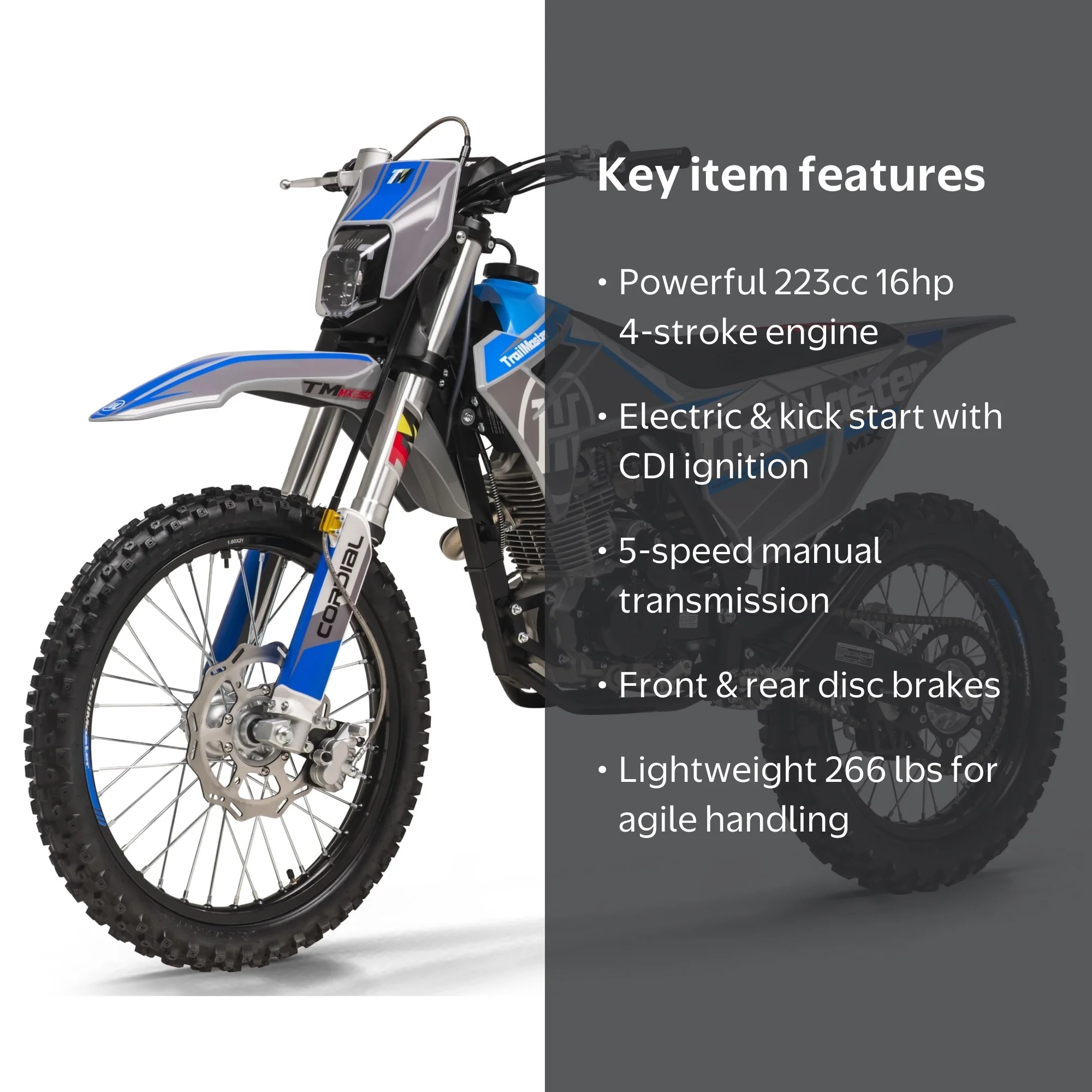 Trailmaster JHL Pro Series TM MX250 Dirt Bike Electric Start