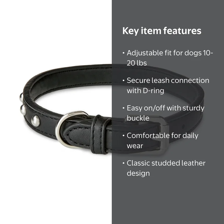 Vibrant Life Leather Black Dog Collar with Gold Studs Adjustable