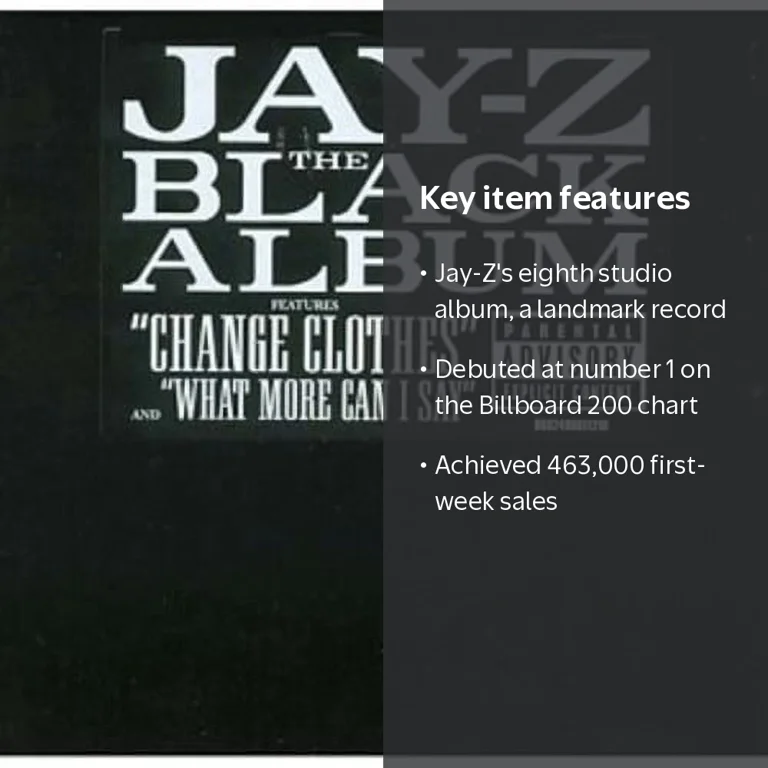 Jay Z, Vinyl, The Black Album, Music & Performance - Walmart.com