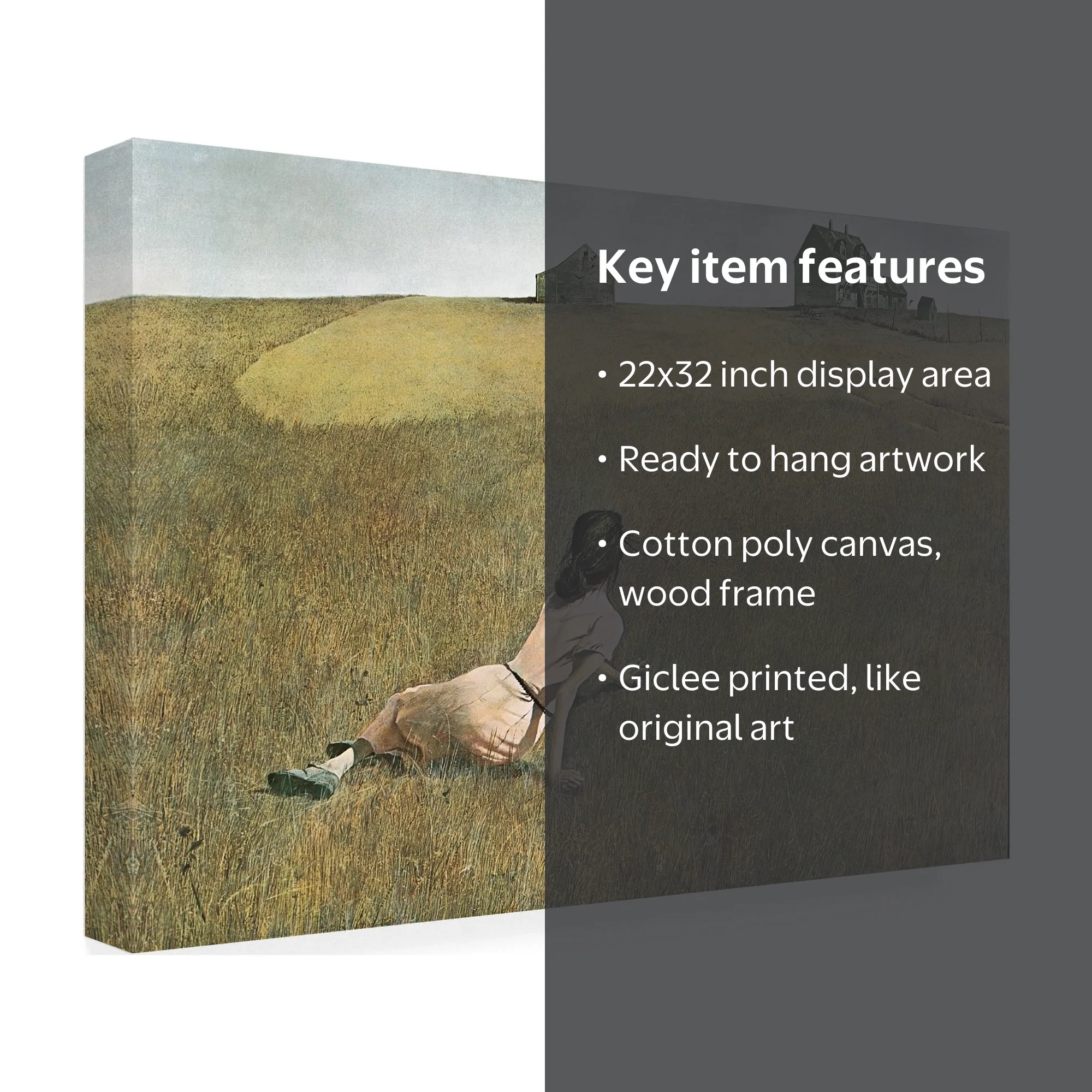 Trademark Fine Art Andrew Wyeth Christinas World Canvas Wall Art