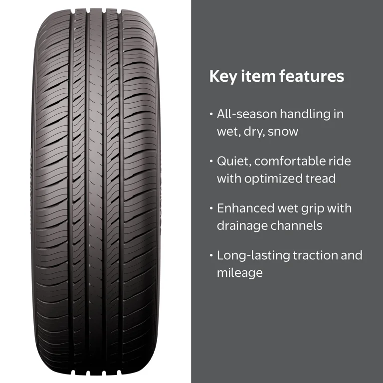 Dextero DTR1 All Season 195/65R15 91H Passenger Tire - Walmart.com