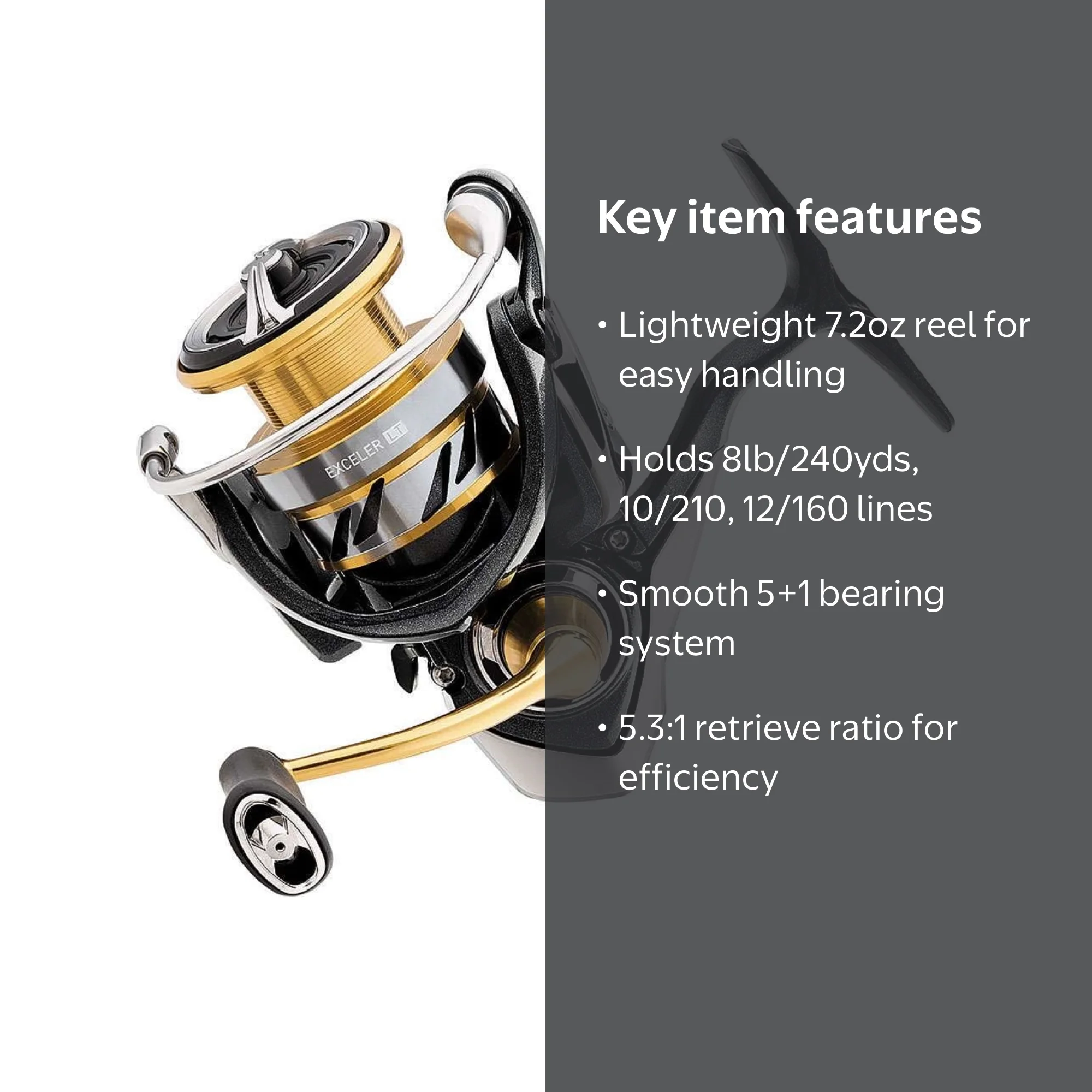 Daiwa Exceler LT 2500 5+1BB, Ambidextrous Spinning Fishing Reel
