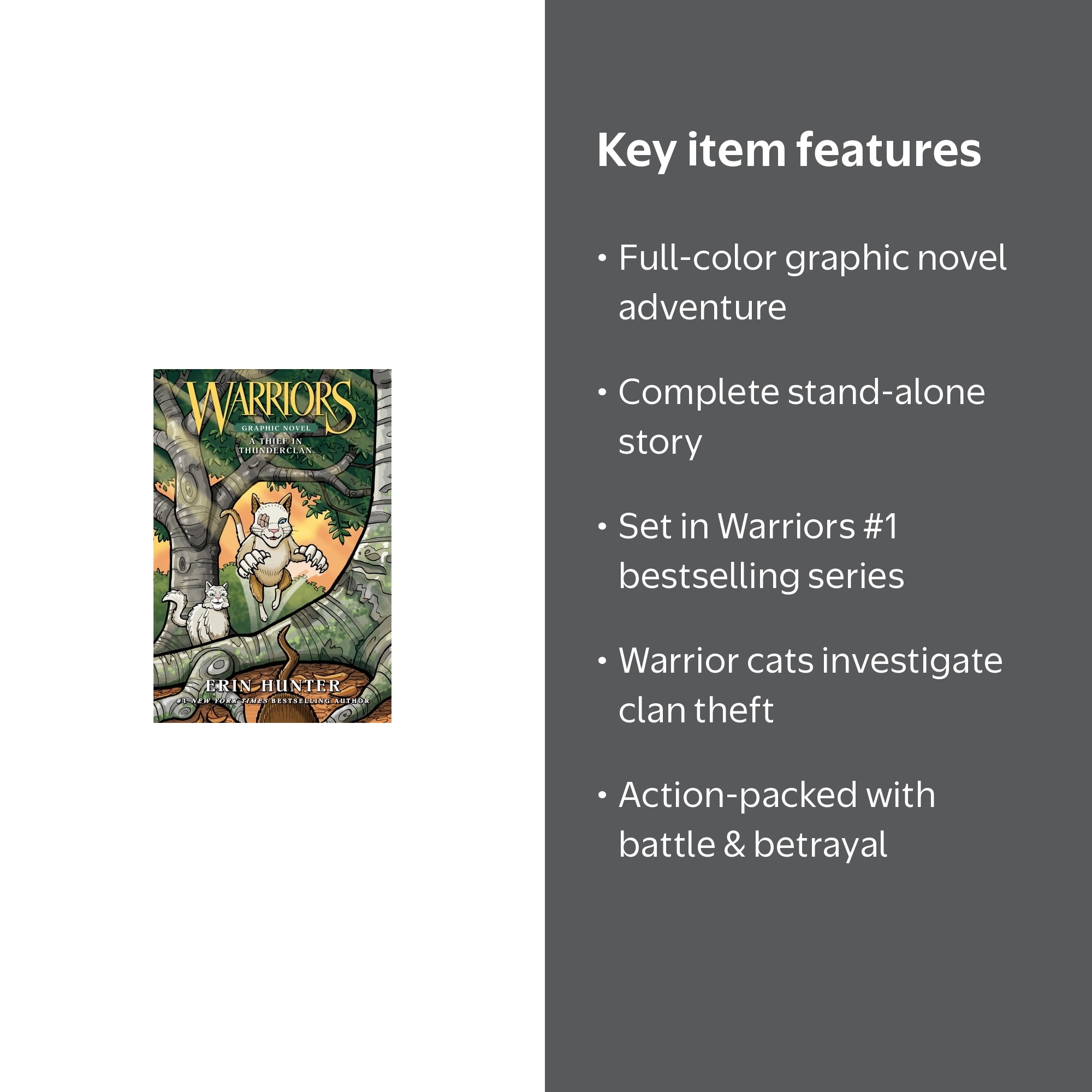 Erin Hunter's Warriors Graphic Novel: A Thief in Thunderclan, Book