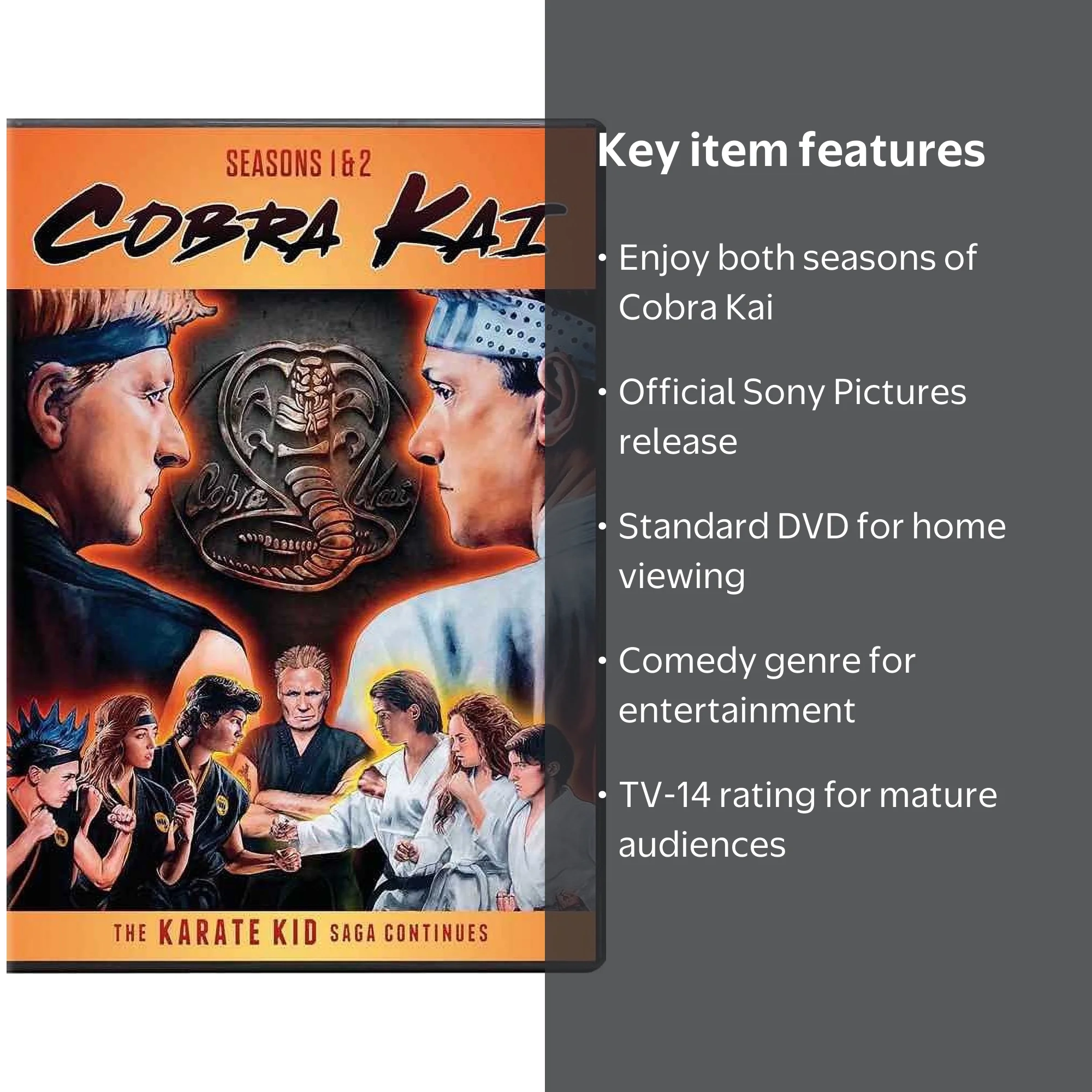 Sony Pictures Cobra Kai Complete Series: Seasons 1 & 2 DVD