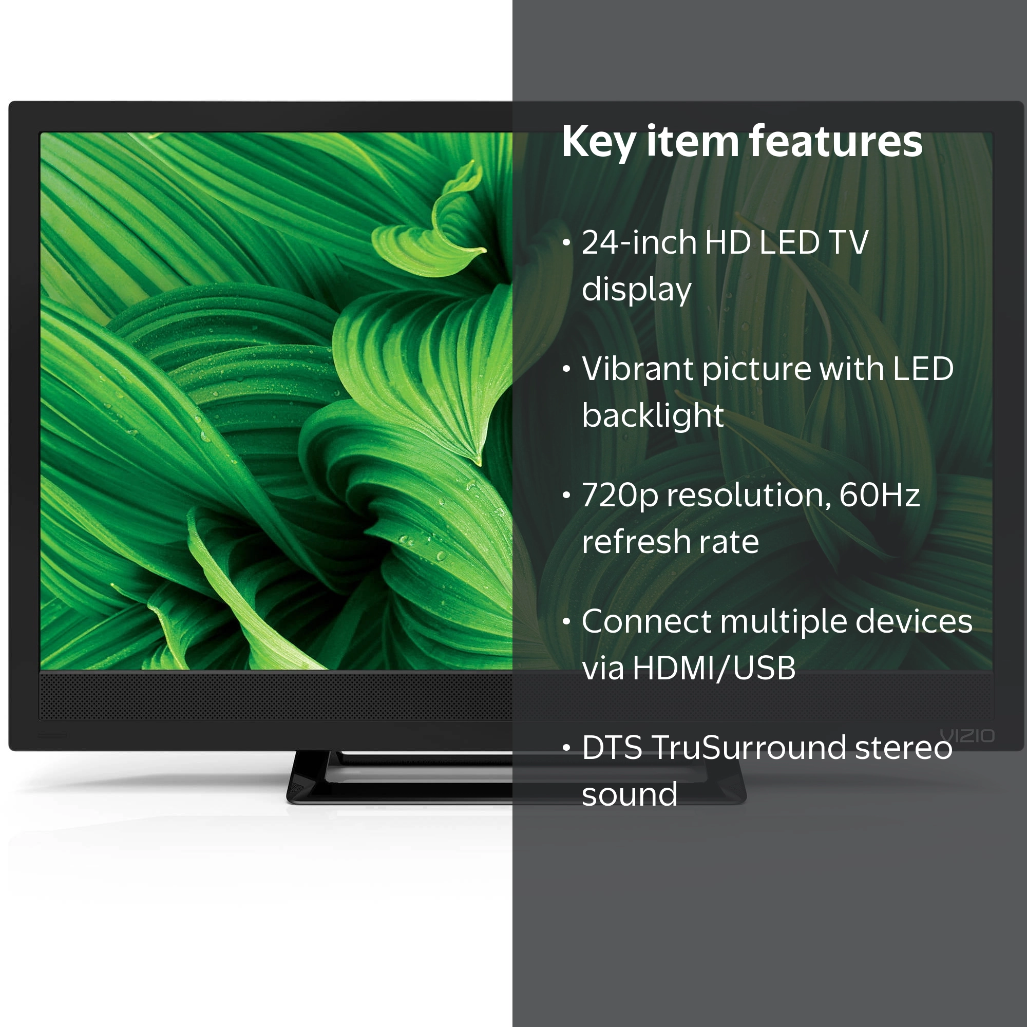 VIZIO 24