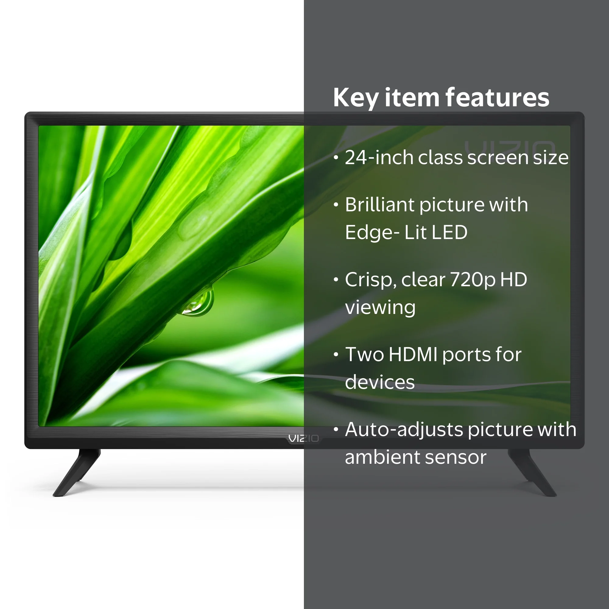 Vizio 24