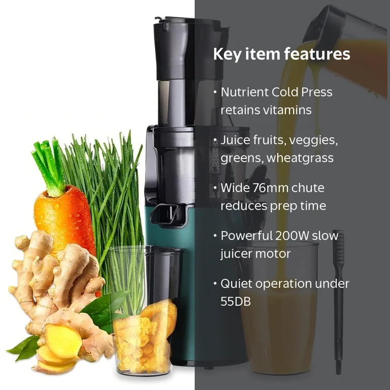 200W Electric Cold Press Masticating Juicer for Fruits, Vegetables