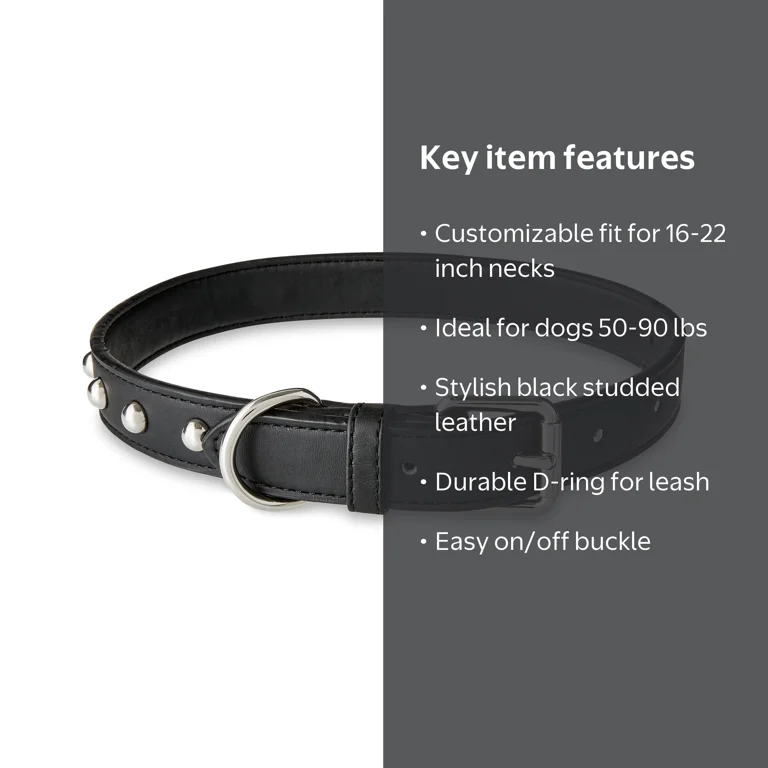 Vibrant Life Black Leather Large Dog Collar with Gold Studs