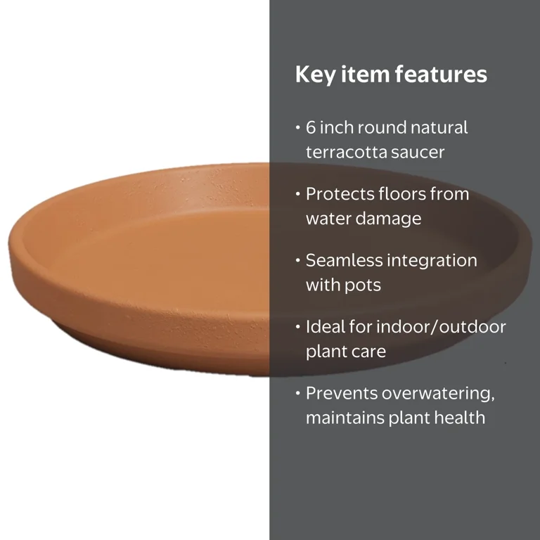 Artevasi 6 inch Round Terracotta Clay Plant Saucer - Walmart.com