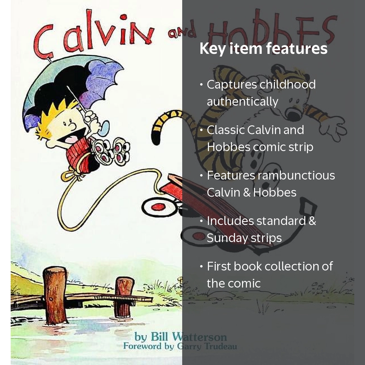 Bill Watterson, Comic Book, Calvin and Hobbes, First Collection